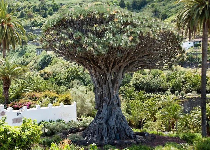 Lava & Ocean - Icod De Vinos - Ac, 3 Bedrooms, 2 Bathrooms, Ocean And Teide View *